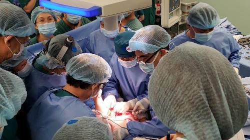 Phẫu thuật tách dính thành công, 2 bé song sinh bắt đầu quá trình hồi phục