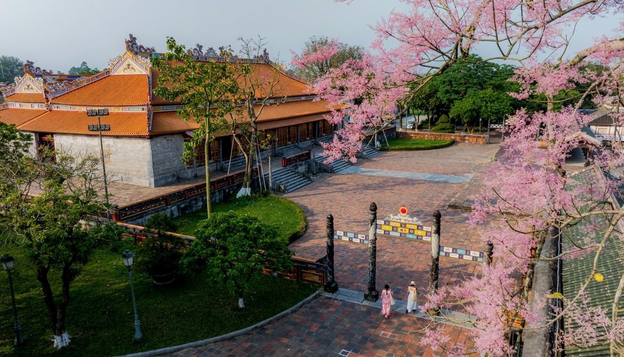  Chiêm ngưỡng vẻ đẹp trầm mặc của “Vương giả chi hoa” tại Huế